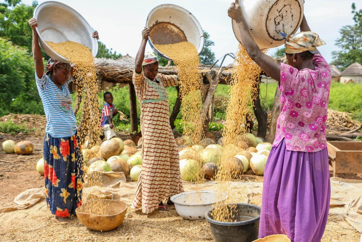 Agricultural Value Chain Development